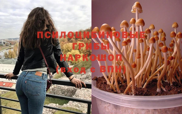 меф Гусев
