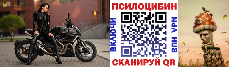 Купить Чебаркуль Галлюциногенные грибы GOLDEN TEACHER